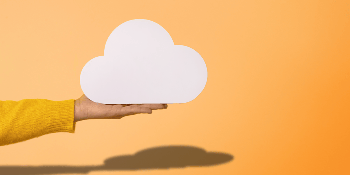 Secure File Sharing Software